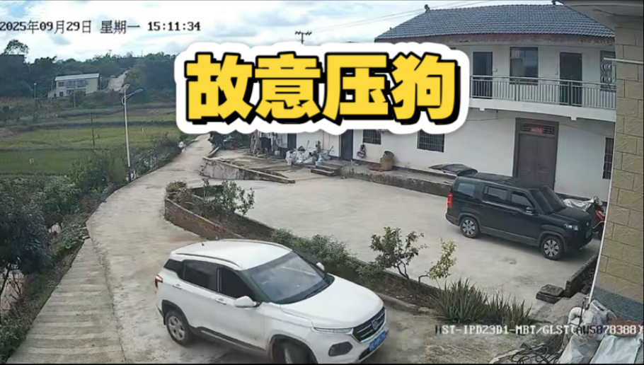 这人有多坏，故意压狗