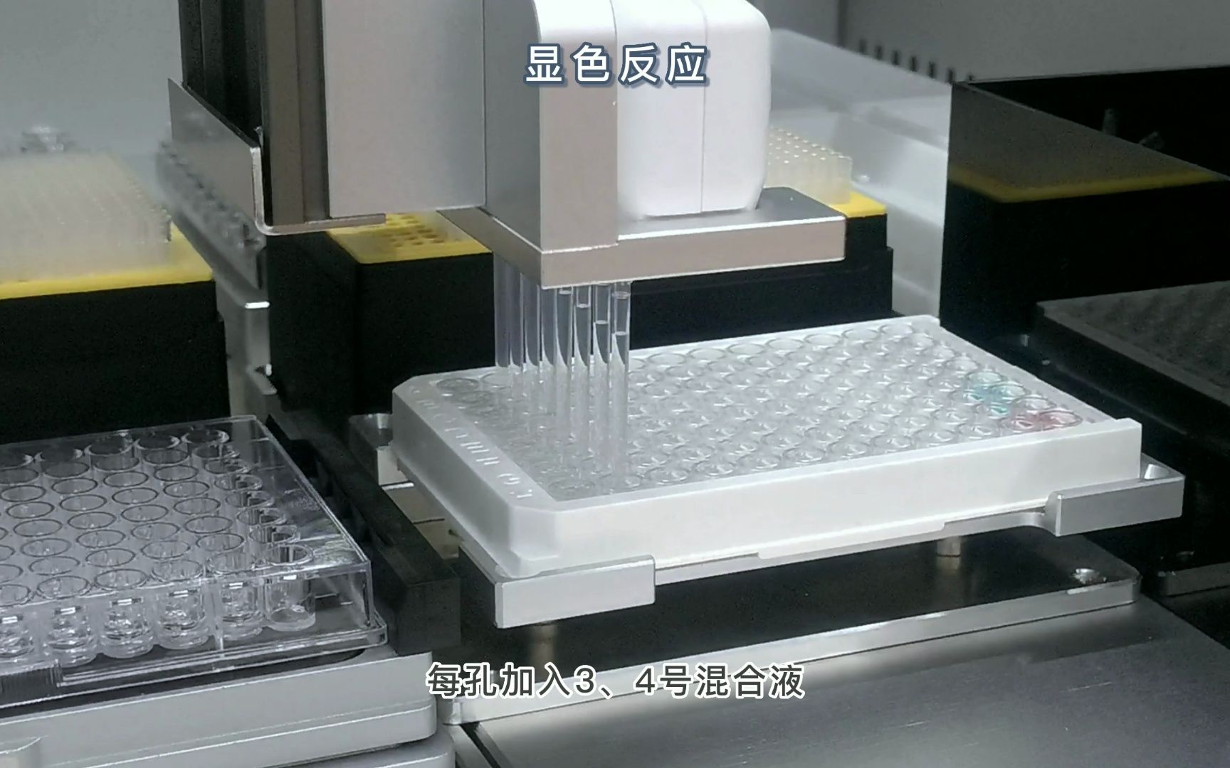 羊小反刍兽疫抗体检测间接Elisa文鳐全自动移液工作站哔哩哔哩bilibili