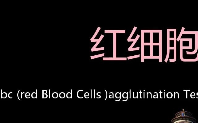 红细胞凝集试验 Chinese Pronunciation RBC (Red Blood Cells )Agglutination Test哔哩哔哩bilibili