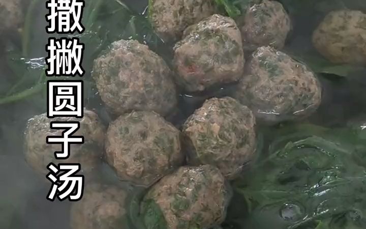 撒撇圆子汤哔哩哔哩bilibili