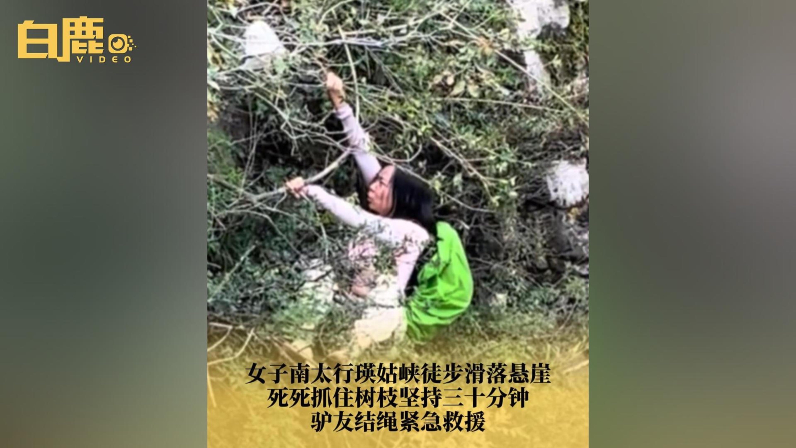女子南太行瑛姑峡徒步滑落悬崖,死死抓住树枝坚持三十