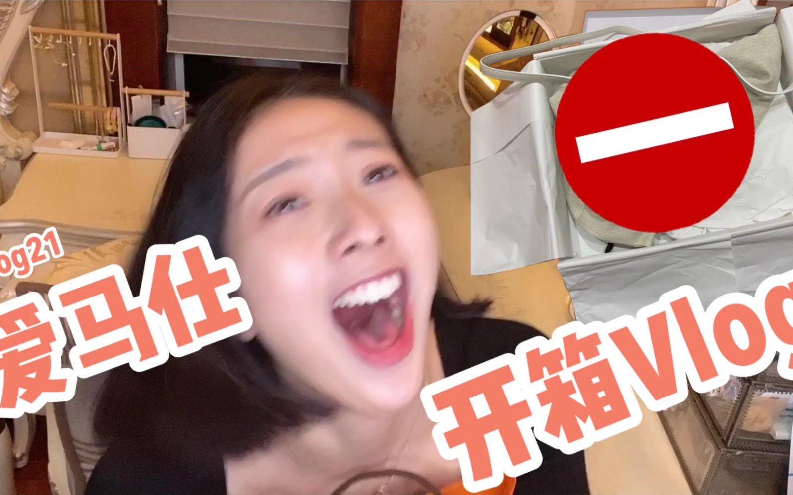 【等了一年的包—爱马仕开箱Vlog】太喜欢这个包了!命中注定是我的包啊!哔哩哔哩bilibili