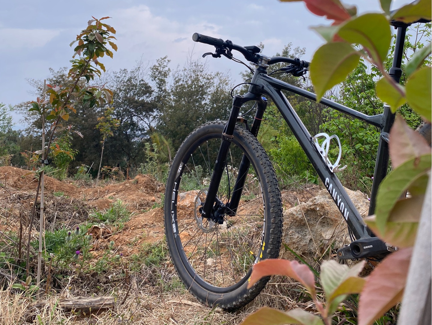 喜欢这种硬尾林道