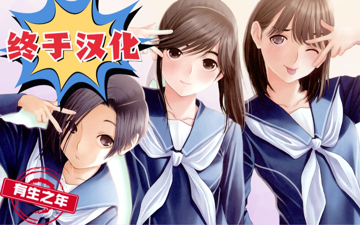 3DS《爱相随》汉化版终于来了!得偿所望~!_哔哩哔哩bilibili