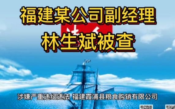 严重违纪违法,霞浦县粮食购销有限公司副经理林生斌接受审查调查哔哩哔哩bilibili