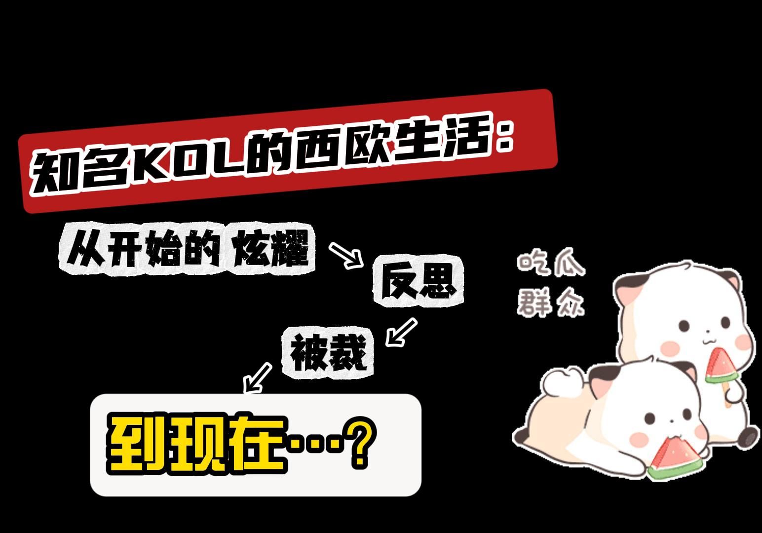 知名KOL的西欧生活:从开始的炫耀,反思,到现在……?哔哩哔哩bilibili