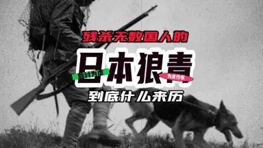 日本狼-哔哩哔哩_Bilibili