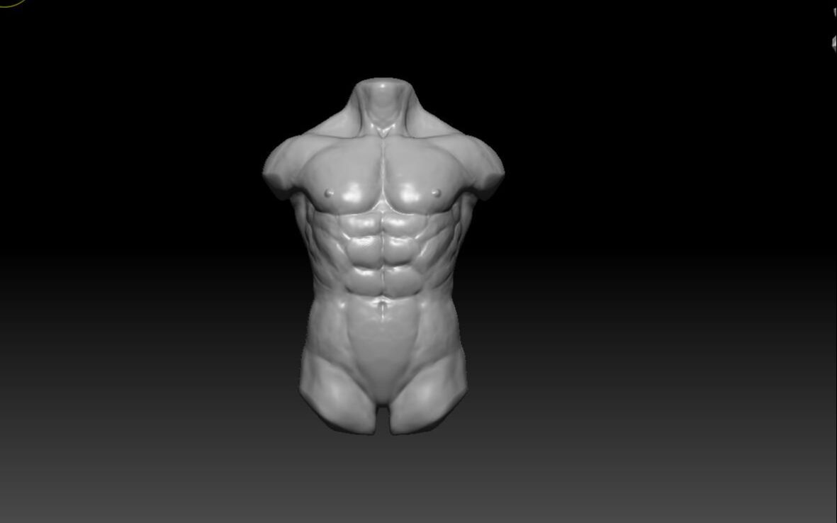 【百日打卡】zbrush人体肌肉结构速写第三十八天