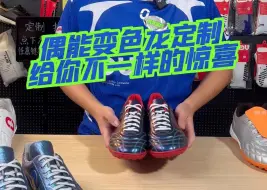 Video herunterladen: 偶能变色龙定制给你不一样的惊喜