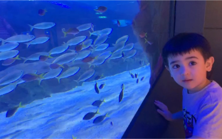 [图]【Dubai】Aquarium