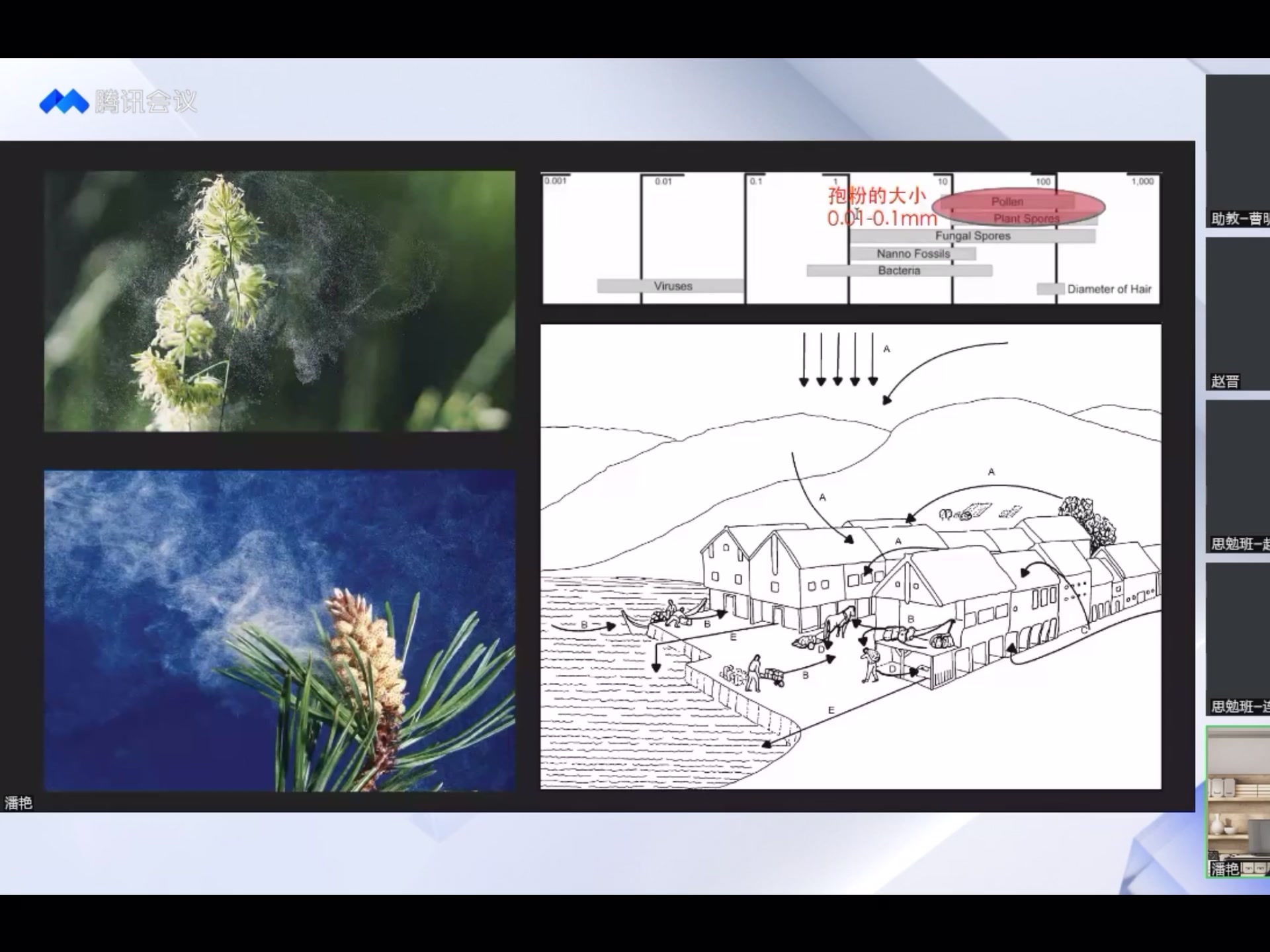 【科技考古】探幽有术:科技考古研究概览 第二讲 动植物考古(二)哔哩哔哩bilibili