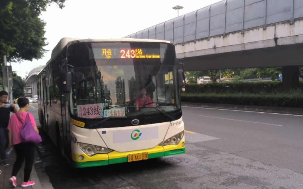 (云乘车)广州公交243路短线广汽比亚迪gz6120lgev2(k9f)运行实录(拍摄