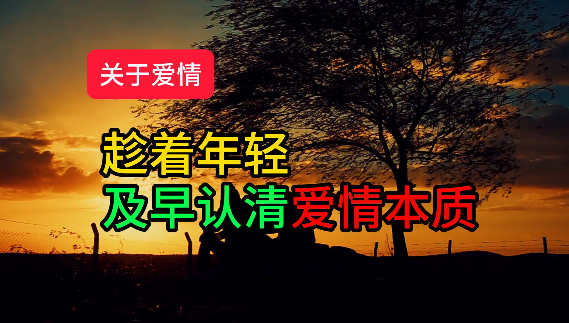 会成长的爱情,婚姻中的感情才不会越来越淡