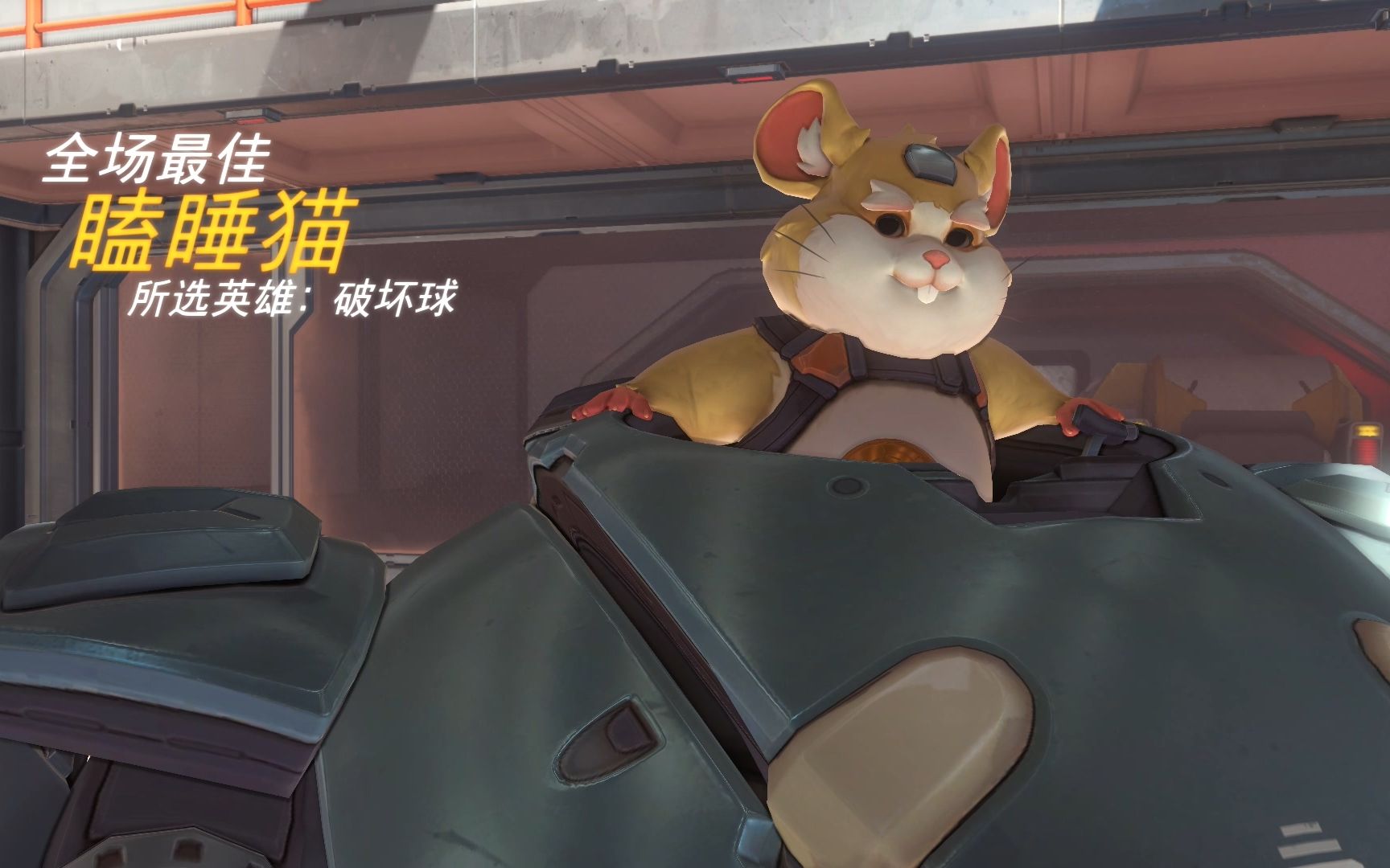 仓鼠球真好玩_哔哩哔哩_bilibili