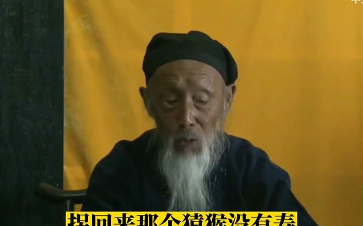 侧龙卧虎仰瘫尸,武睡文睡有门道,没事多学学狗睡,龟鹤有万年之寿哔哩哔哩bilibili