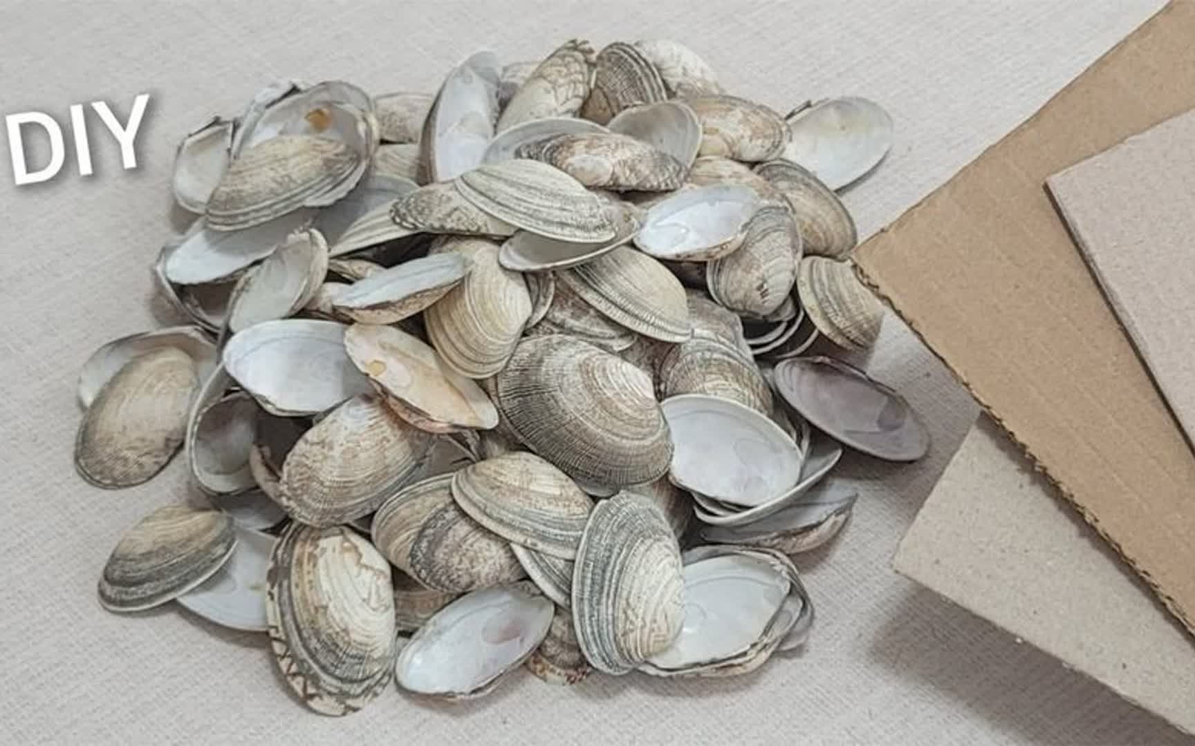 花甲壳扔了太可惜,手把手教你变废为宝,成品价值提升十倍不止!