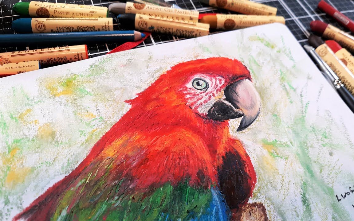 【油画棒】申内利尔油画棒绘画红鹦鹉教程!