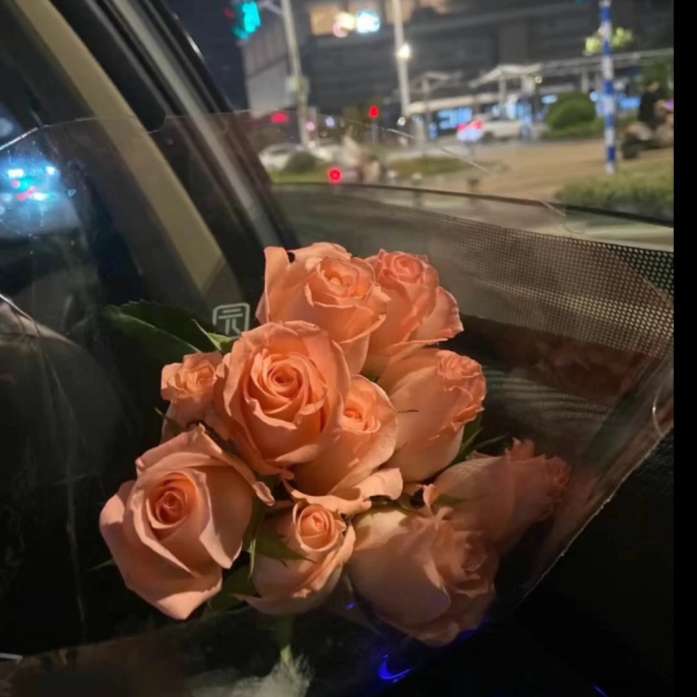 有鲜花和微风的夜晚