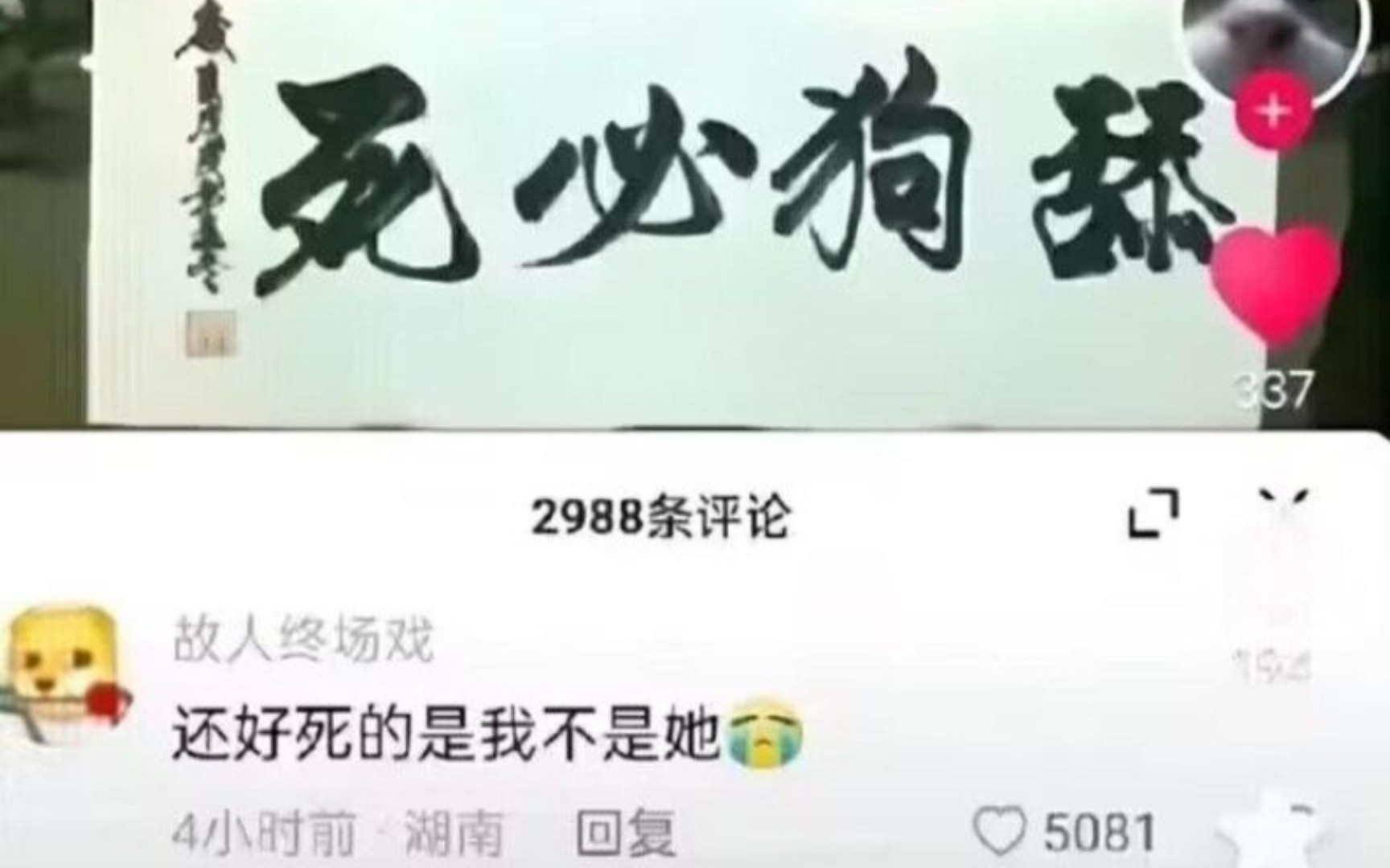 舔狗必死?还好死的是我不是她!!哔哩哔哩bilibili