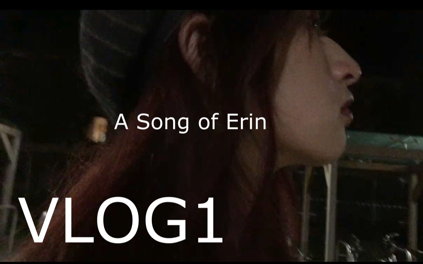 【Awu'sVlog】① A Song of Erin 翡翠岛初探 |天|海|树|文化夜哔哩哔哩bilibili