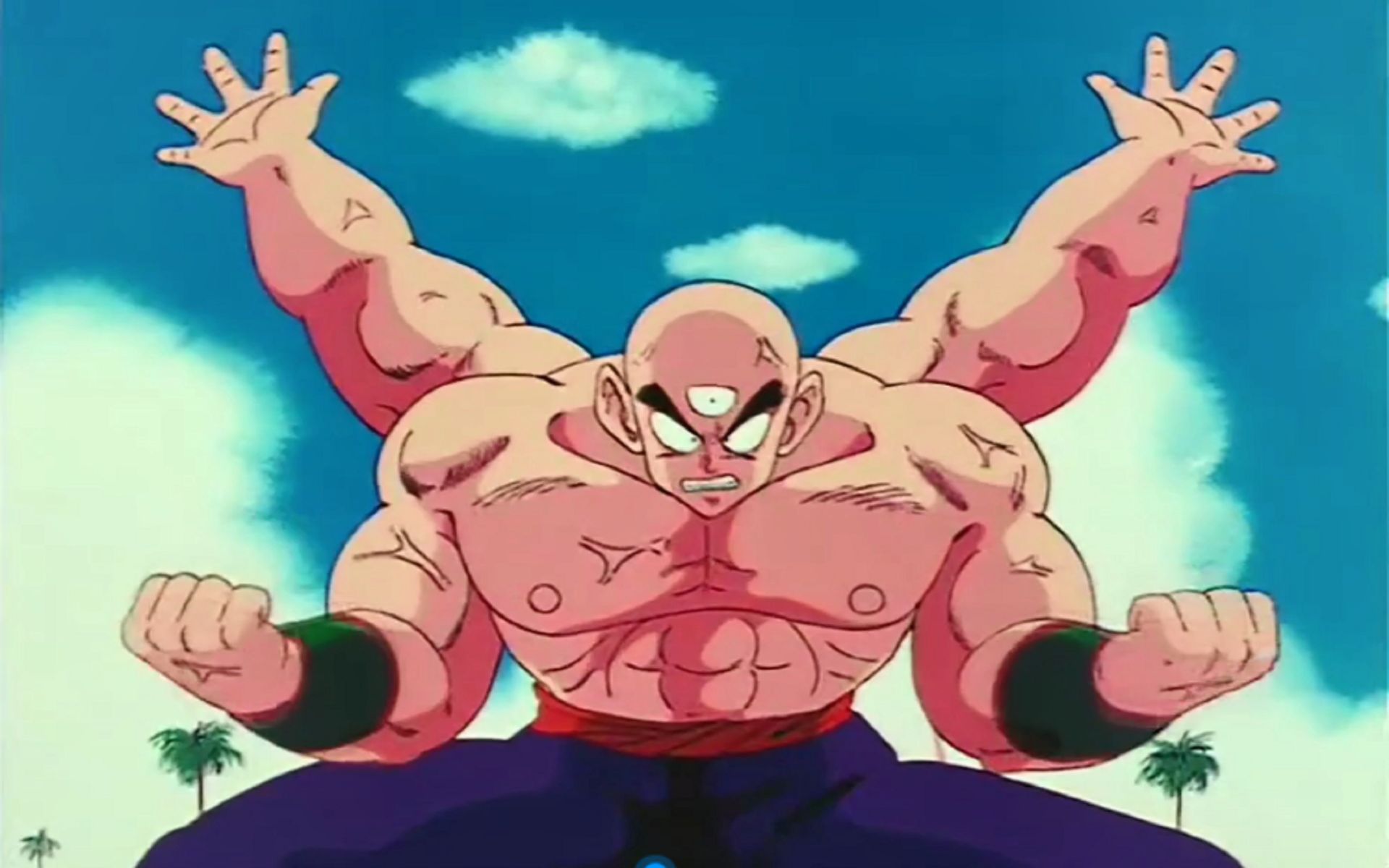 【龙珠】技能大师天津饭