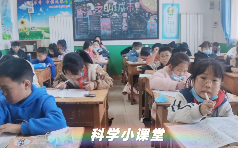 [图]科学:土壤的组成，分类，保护