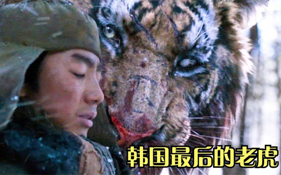 韩国电影大虎影评