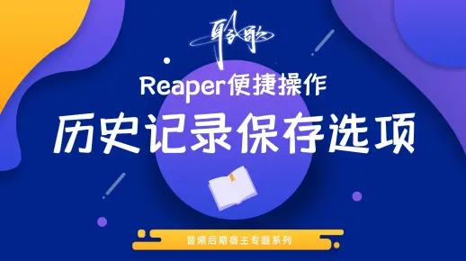 Reaper便捷操作 | 在首选项中设置撤销历史记录保存选项