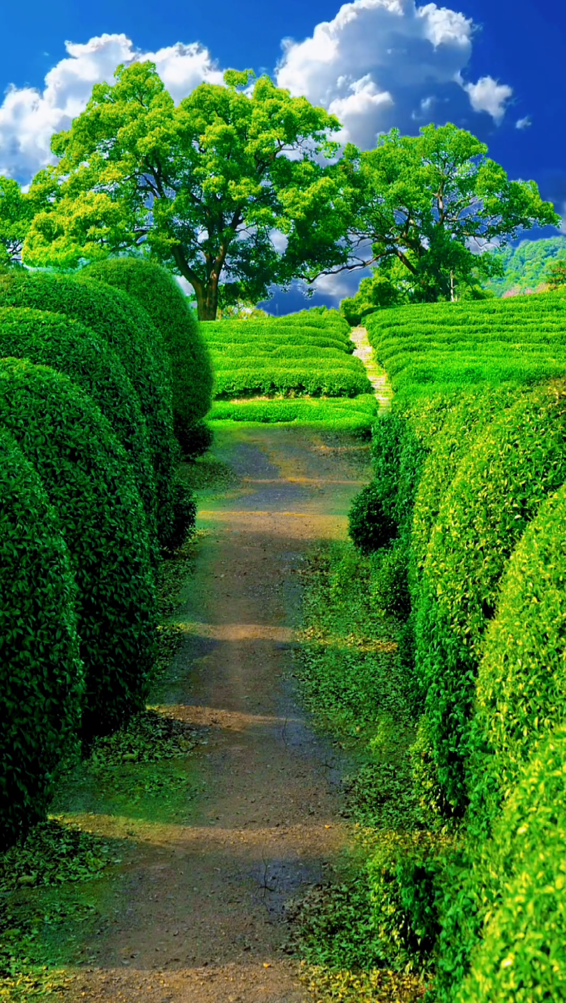 "#唯美意境 #治愈系风景