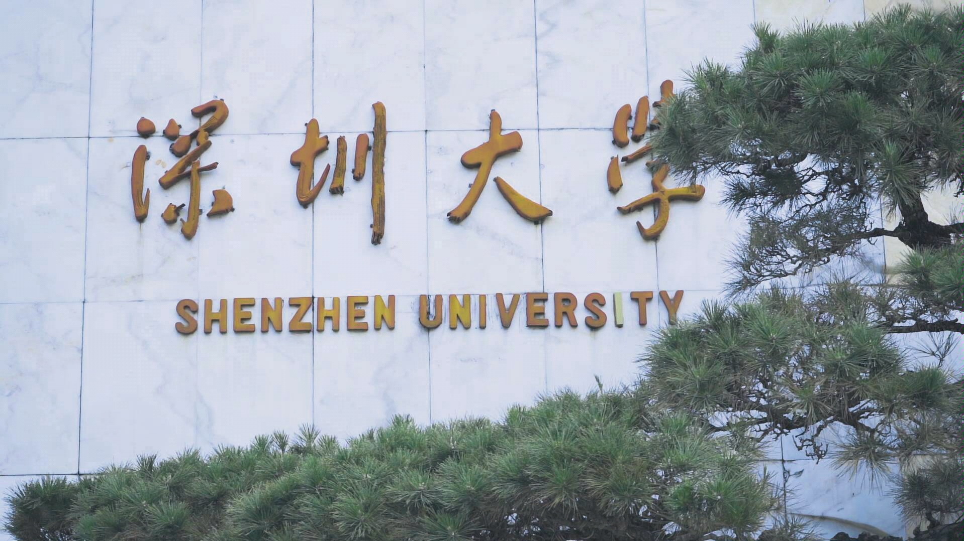 深圳大学为啥这么热门呢虽说是双非但是分数线却这么高