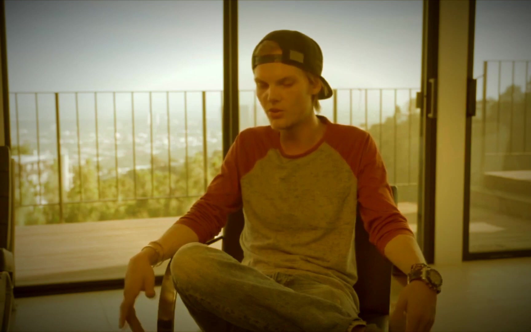 搬运aviciitruestories纪录片早期版本