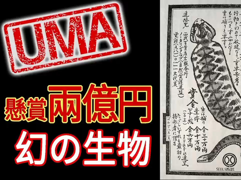 【UMA档案系列】第五期:悬赏2亿的梦幻生物 野槌蛇哔哩哔哩bilibili