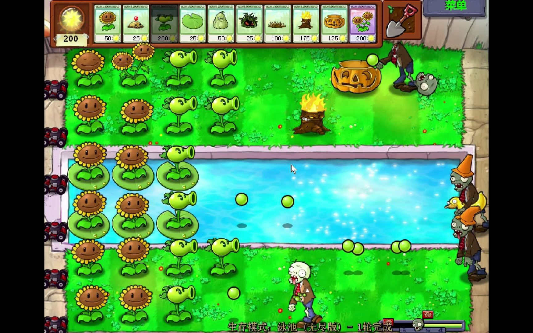 植物大战僵尸 生存模式 泳池(无尽版)