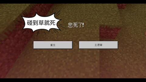 Minecraft 碰到草方块会死亡 目标得铁锭 能生存吗 哔哩哔哩 Bilibili