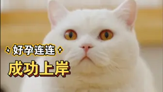 锦鲤体质就这么明显吗？（结尾有彩蛋）