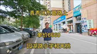 Скачать видео: 青秀区东葛路单价6660，读园湖路小学和天桃中学，首付4万！