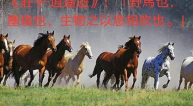 [图]《莊子·逍遥遊》：「野馬也，塵埃也，生物之以息相吹也。」