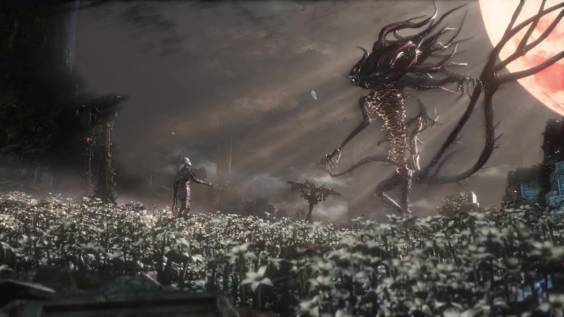 血源诅咒月之精灵