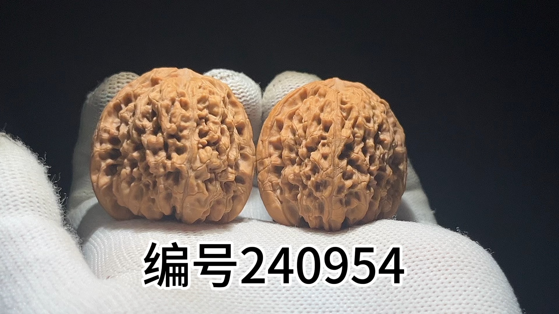 拍卖编号240954涿鹿老树南疆石 爆肉蚂蚁纹 尺寸 38-37-37 10元起拍每