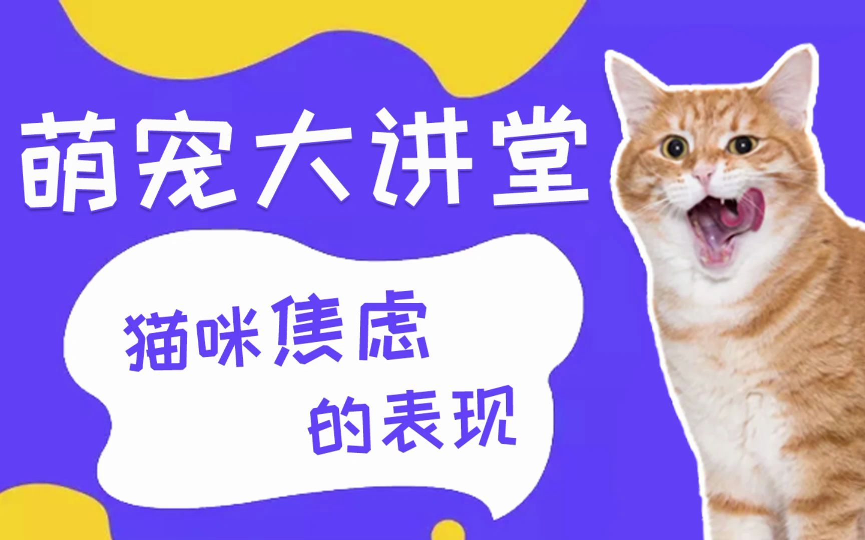 猫咪焦虑的表现哔哩哔哩bilibili