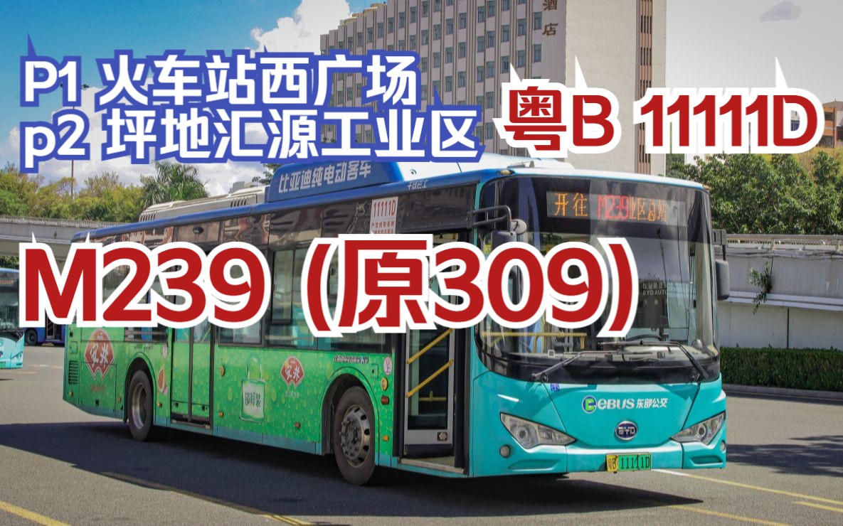 【深圳公交POV 33/34】[粤B 11111D 龙岗大道通勤线] 深圳M239(原309)路 (火车站西广场—坪地汇源工业区总站)哔哩哔哩bilibili