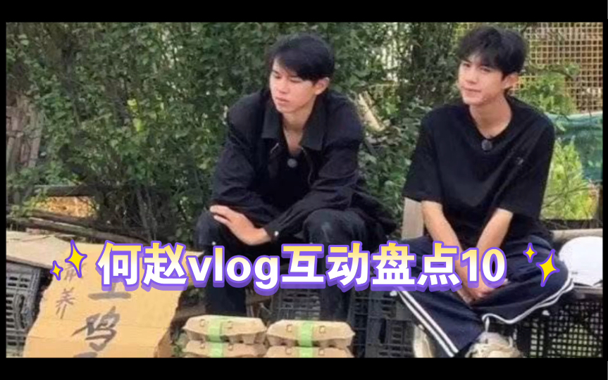 何赵vlog互动盘点10(小何vlog加更,两个人一起卖鸡蛋,何总配的bgm:想见你!)台偶 我磕爆!!!哔哩哔哩bilibili