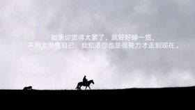 我知道你也是很努力才走到了现在派大星语录 哔哩哔哩 つロ干杯 Bilibili