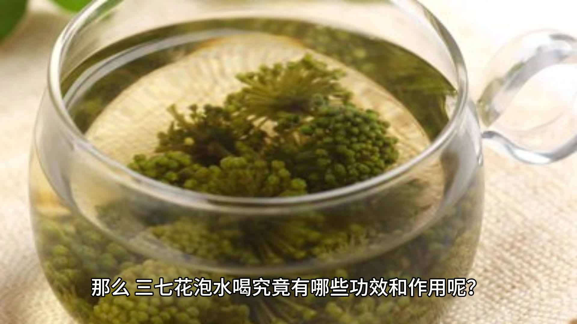 三七片泡水图片