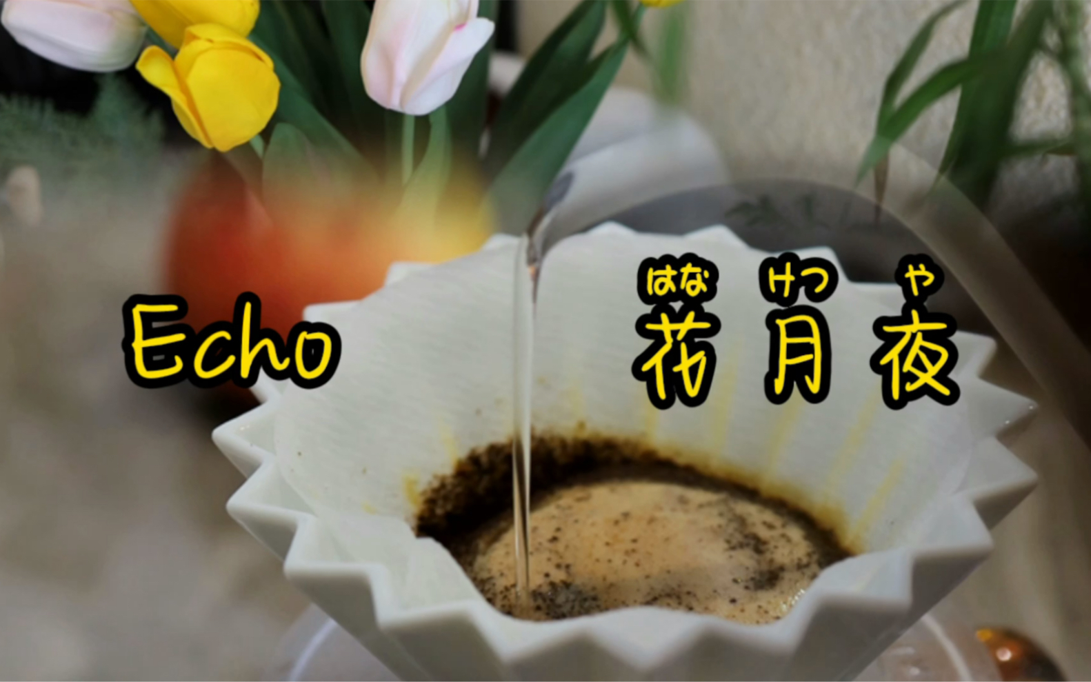 【宁波咖啡馆探店】Echo回声咖啡|坐在转角咖啡店的窗台边喝花月夜哔哩哔哩bilibili