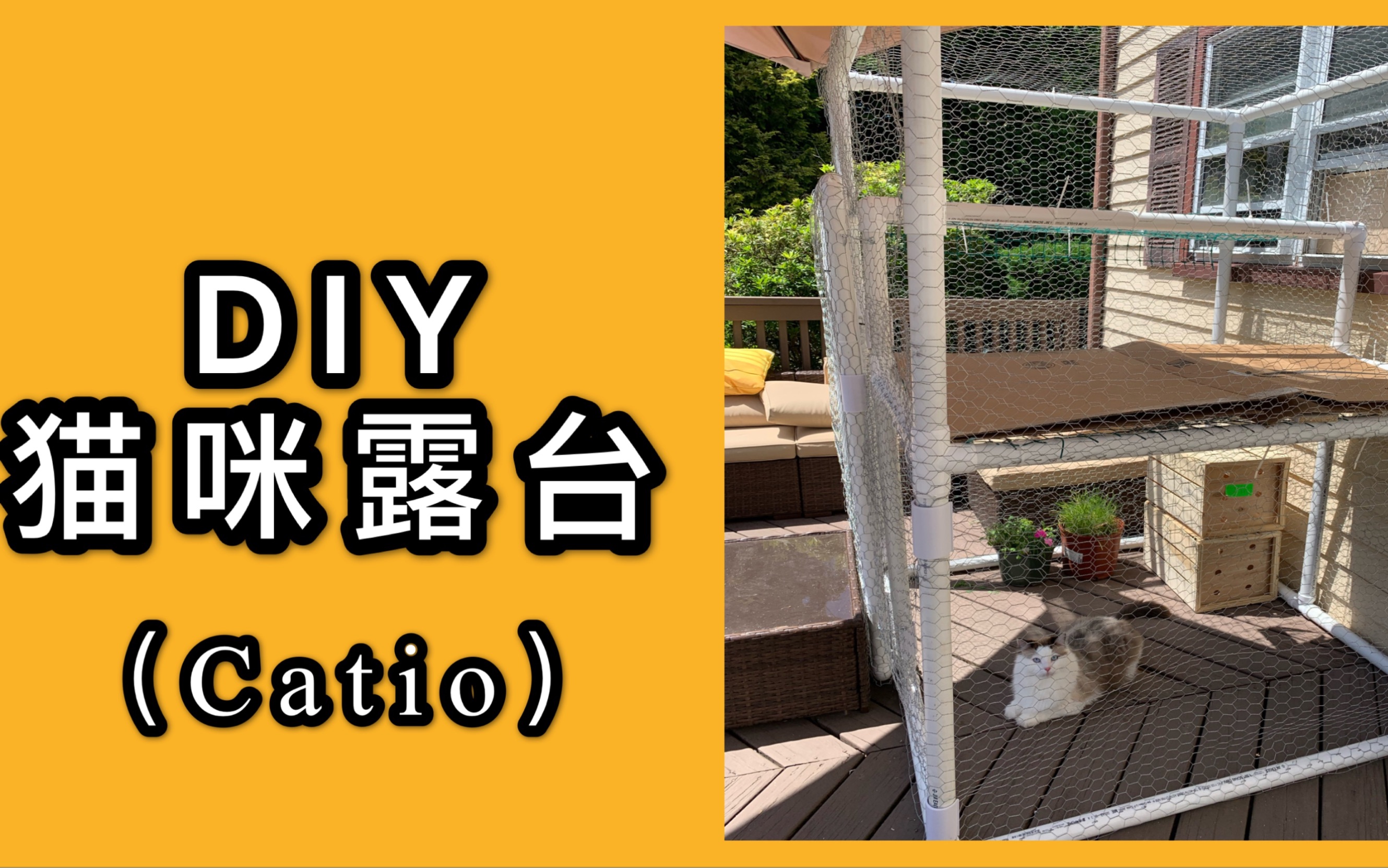 diy猫咪露台catio室外猫笼
