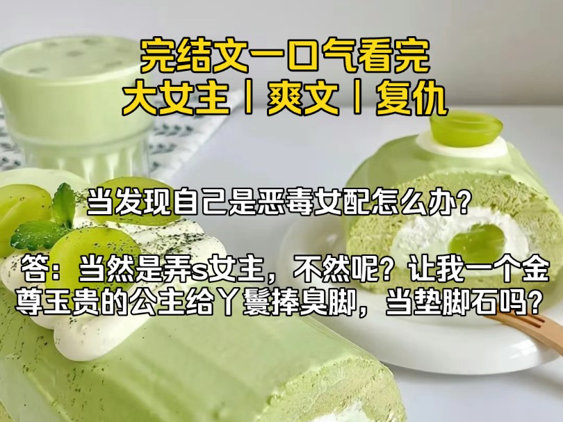 (完结文)当发现自己是恶毒女配怎么办?当然是弄s女主,不然呢?让我一个金尊玉贵的公主给丫鬟捧臭脚,当垫脚石吗?哔哩哔哩bilibili