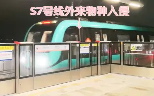 Tải video: 【南京地铁】S1号线空车入侵S7号线柘塘站