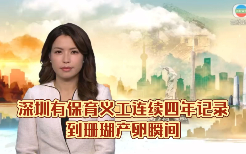 (tvb新闻)深圳有保育义工连续四年记录到珊瑚产卵瞬间