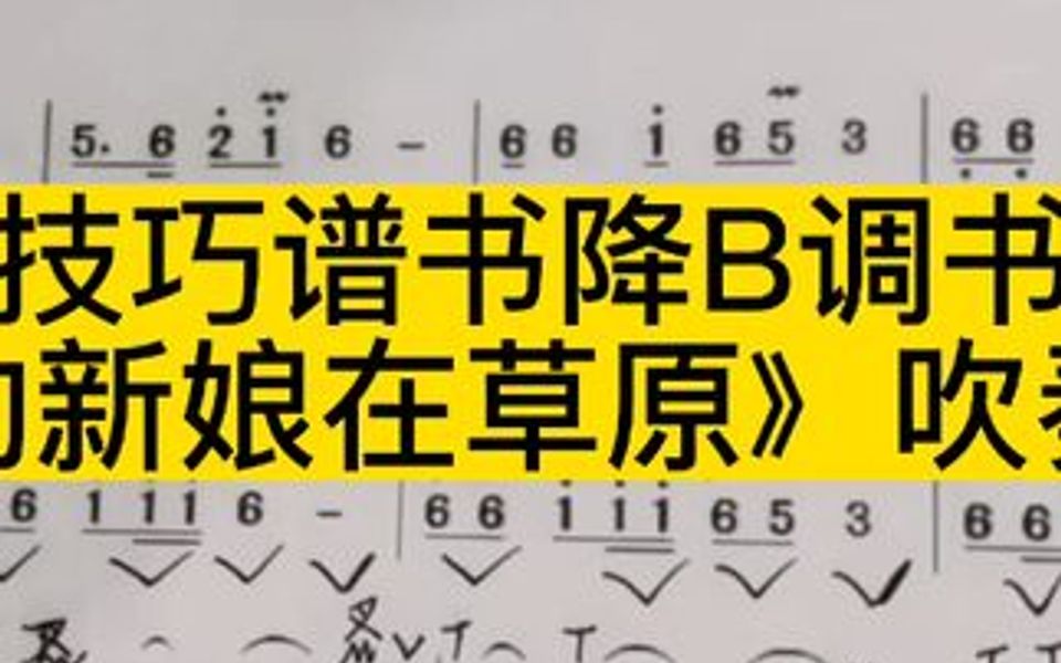 [图]技巧谱书降B调书220页《我的新娘在草原》吹奏示范